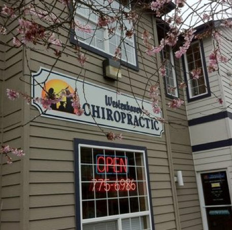 synergy chiropractic and wellness lynnwood